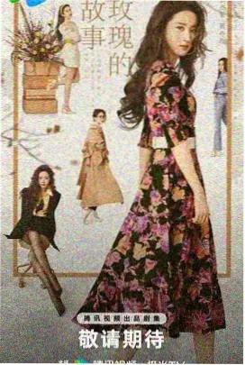 家庭伦理女性剧